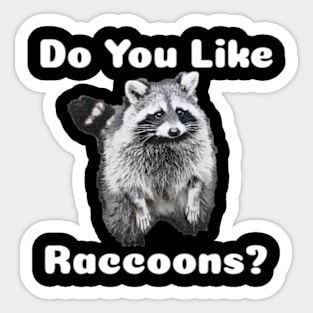 Do You Like Raccoons? Sticker